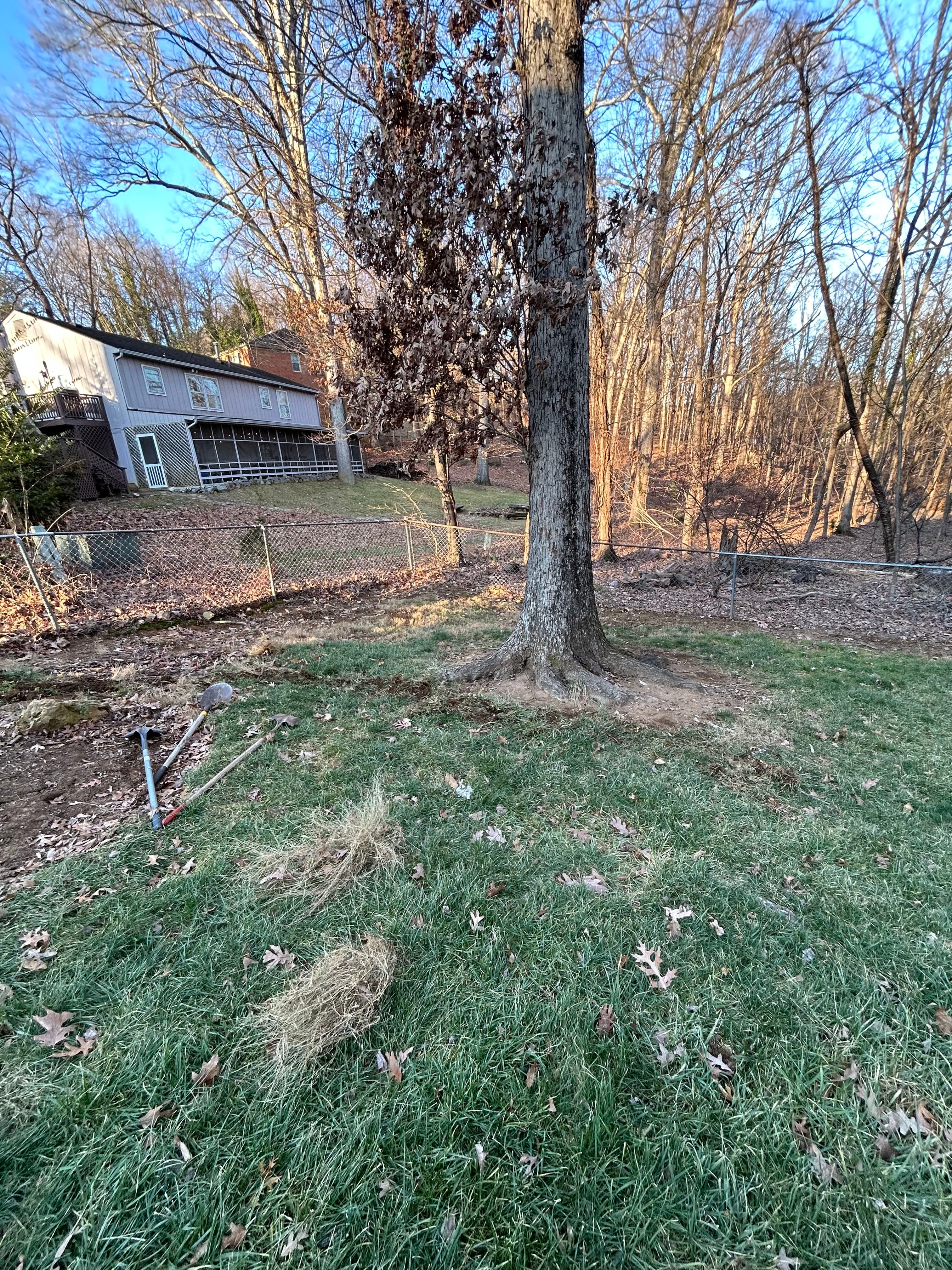 Project Transforming Backyard Spaces with River Rock Addition image