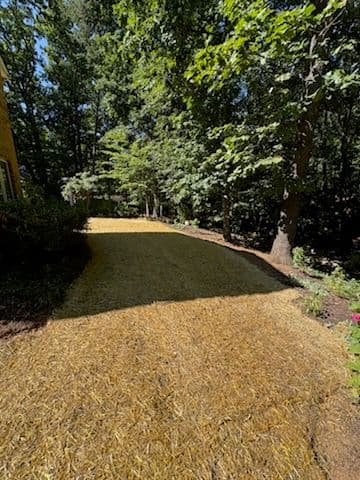 Project Revitalize Your Yard with Precision Land Innovations image