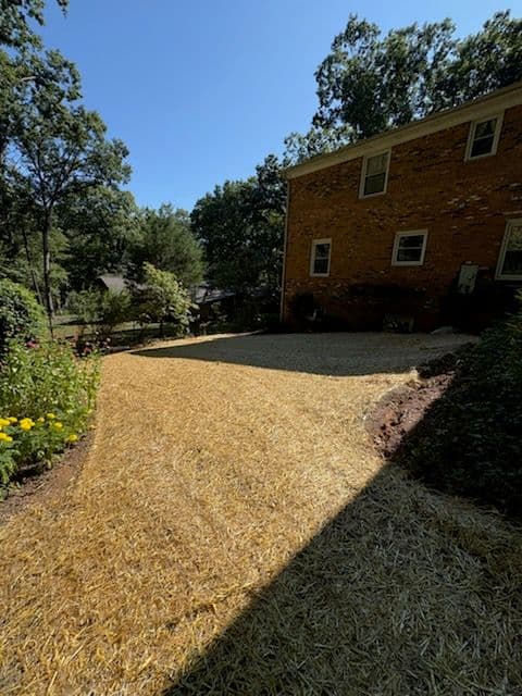 Revitalize Your Yard with Precision Land Innovations