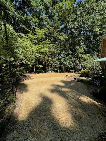 Revitalize Your Yard with Precision Land Innovations