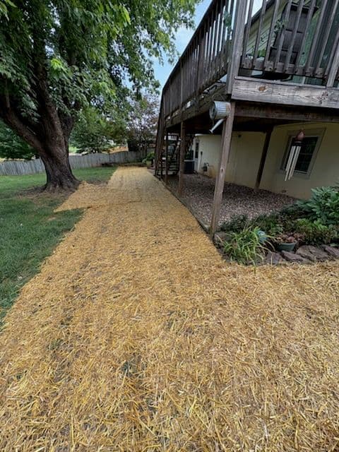 Innovative Backyard Drainage and Lawn Upgrade