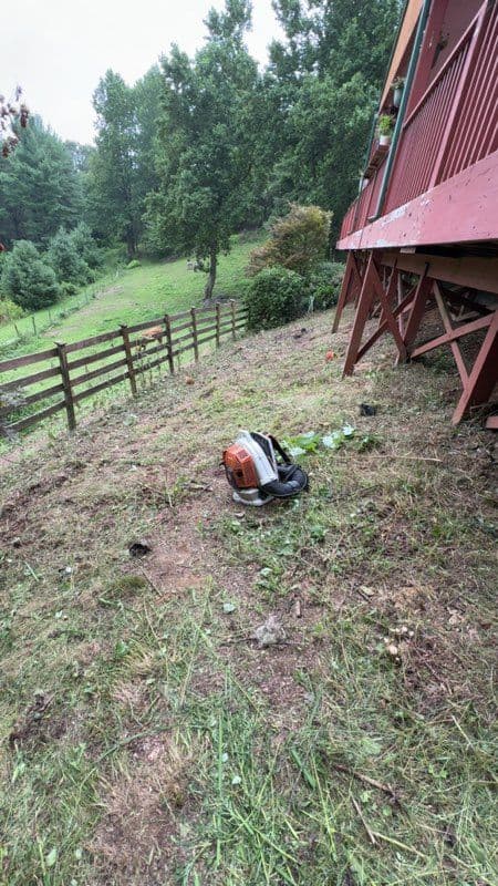 Revitalize Your Landscape with Expert Cleanup