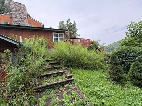 Revitalize Your Landscape with Expert Cleanup