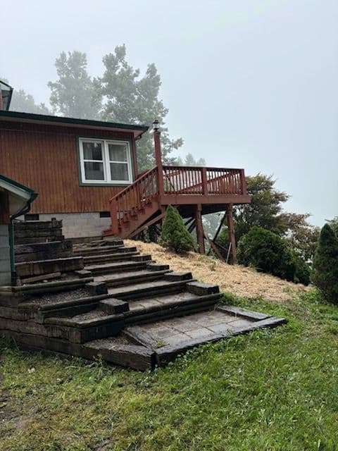 Revitalize Your Landscape with Expert Cleanup