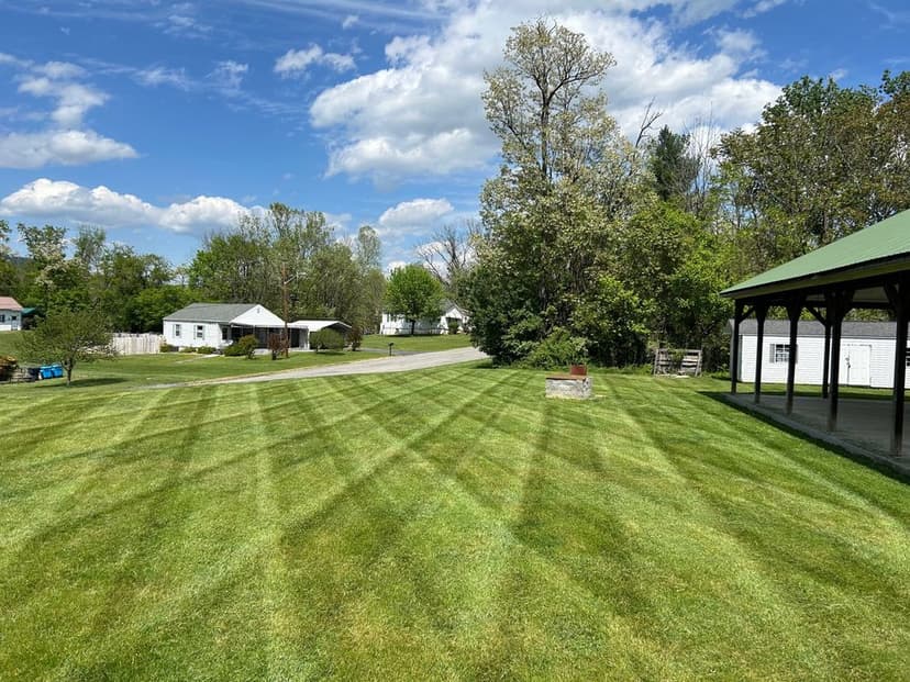 Sustainable Landscaping Practices's image